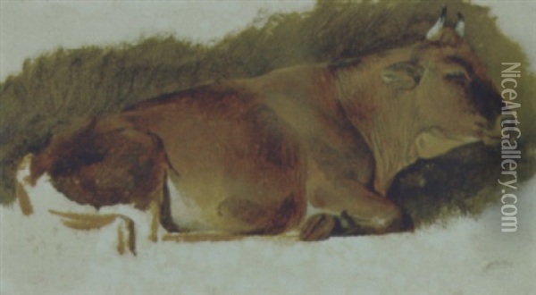 Liegende Kuh Oil Painting - Friedrich Gauermann