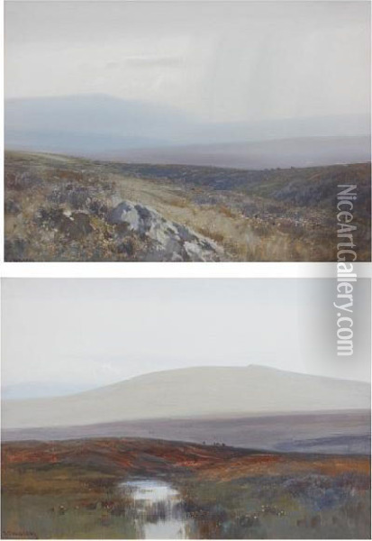 'cox's Tor, Dartmoor'; 'nr Steperton Tor,dartmoor' Oil Painting - Frederick John Widgery