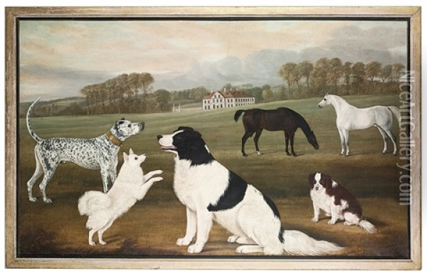 A Mastiff, A Pomeranian, A Newfoundland And A Spaniel Oil Painting - William Nedham