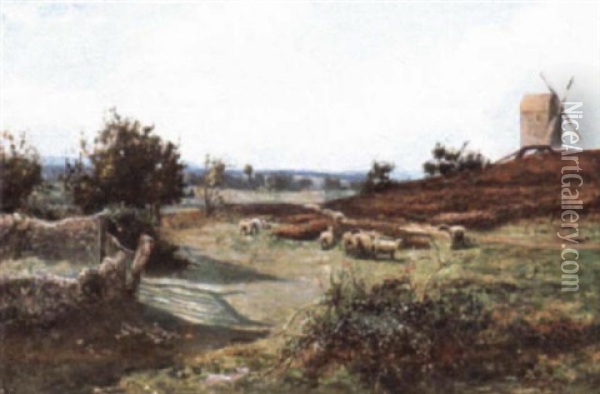 Flock Of Sheep In Extensive Summer Landscape Oil Painting - Emmi Stewart Wood