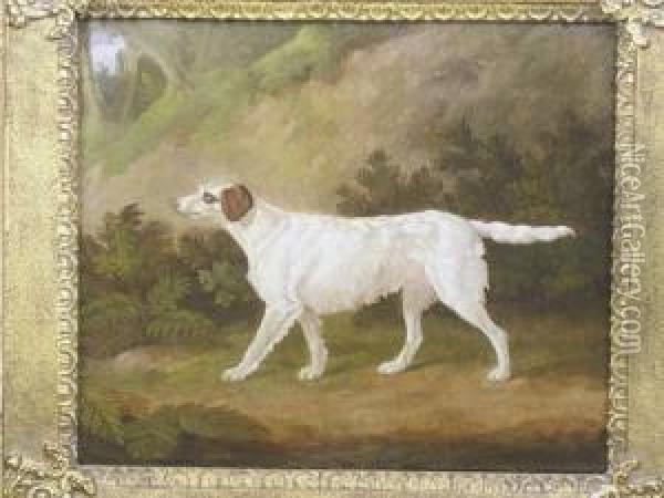 The Celebrated Setter Purchased 
At Major Henry Lyon's Sale By Phillips Son & Neale 2nd July 1888 Oil Painting - Edmund Gill