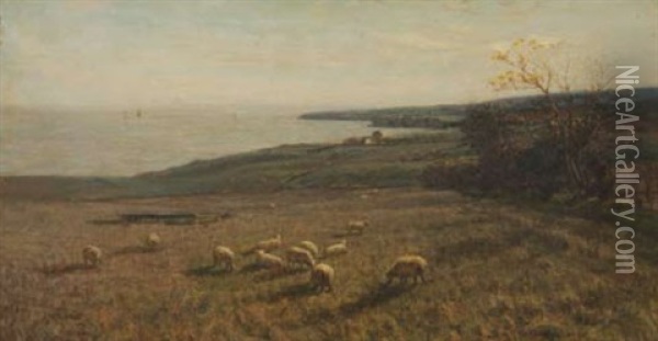 Coastal Landscape With Grazing Sheep Oil Painting - James Campbell Noble