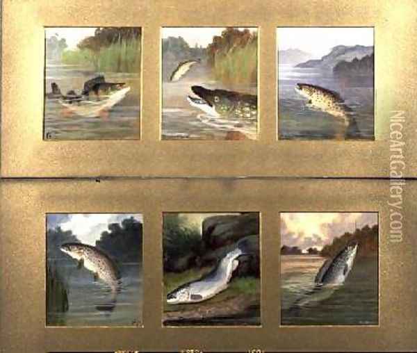 Selection of Fish Paintings Oil Painting - A. Roland Knight