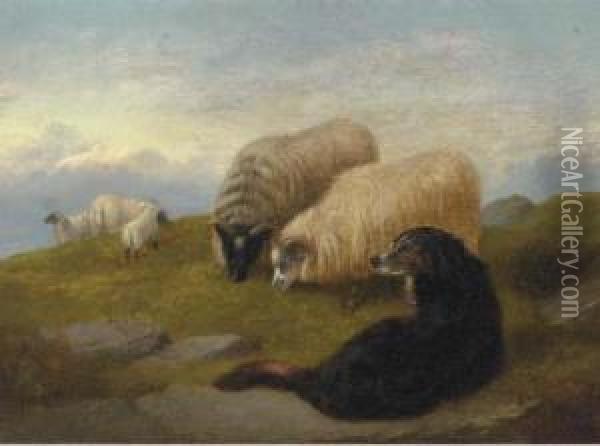 Sheepdogs Guarding The Flock Oil Painting - George W. Horlor