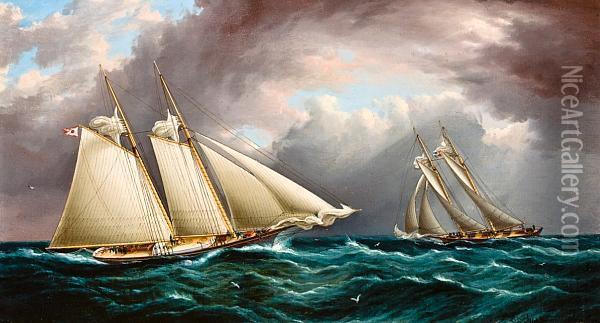 Yacht Race 
 Depicting The Schooner Yacht Oil Painting - James E. Buttersworth