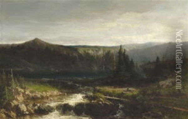 See In Einem Mittelgebirge (schwarzwald?) Oil Painting - Johannes Warnardus Bilders