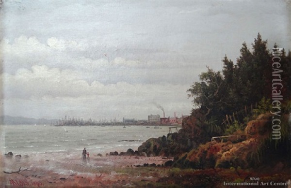 Auckland Harbour Oil Painting - Albert Edward Aldis