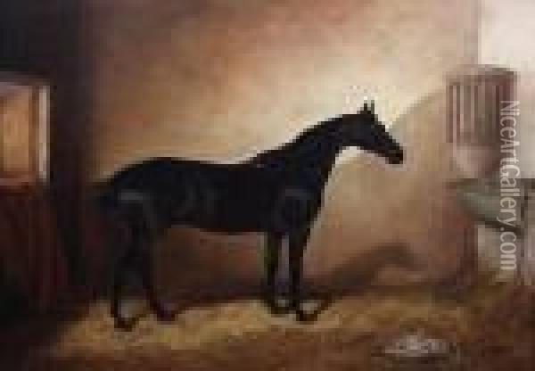 Dark Bay Hunter In A Stable Oil Painting - Of John Alfred Wheeler