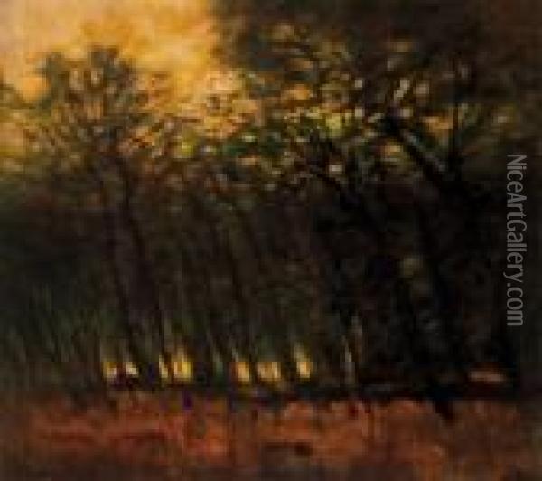 Forest Lights (fires In The Forest), About 1910 Oil Painting - Laszlo Mednyanszky
