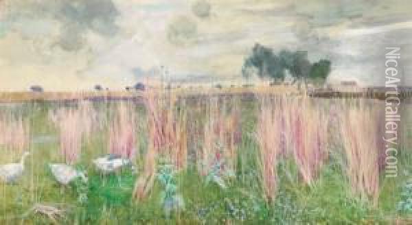 Geese Amongst The Reeds Oil Painting - John G. Sowerby