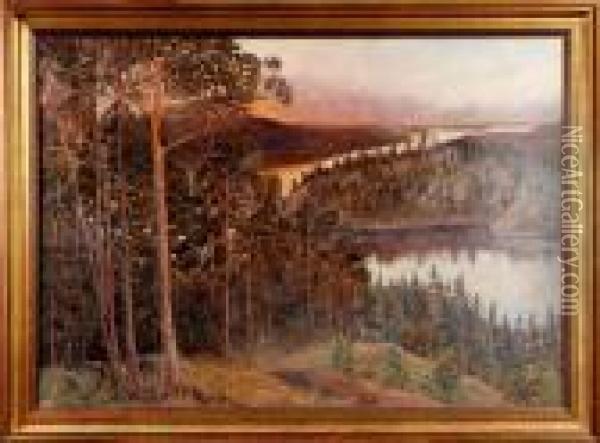 (1900-tal):
Landskap Oil Painting - Carl August Johansson