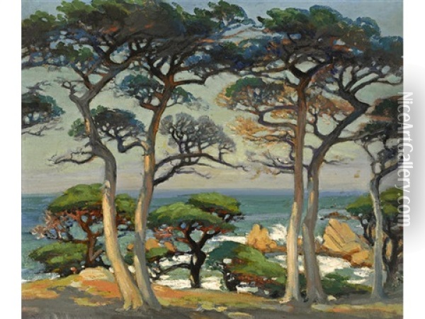 Monterey Cypress On The Shore Oil Painting - Mary Deneale Morgan