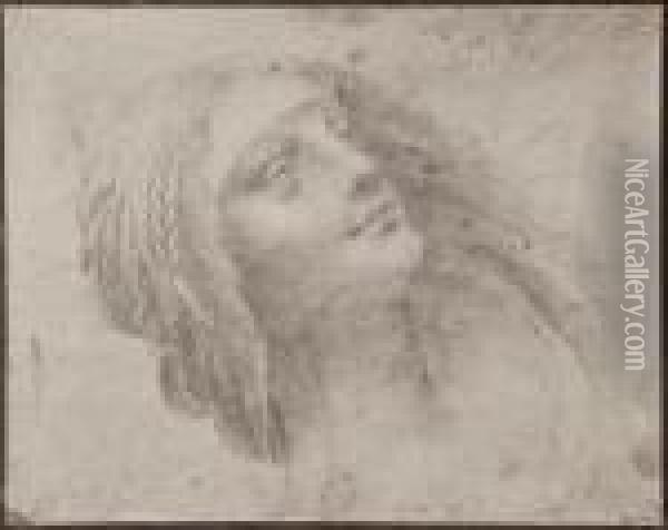 Study For The Virgin And Child With St.anne By Leonardo Oil Painting - Charles Marville