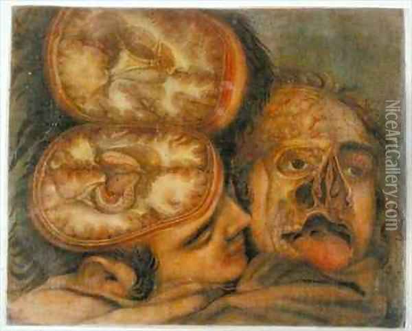 Cross section of the Brain Oil Painting - Jacques - Fabien Gautier - Dagoty