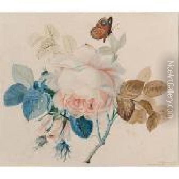 A Butterfly On A Rose Oil Painting - Johan Laurentz Jensen