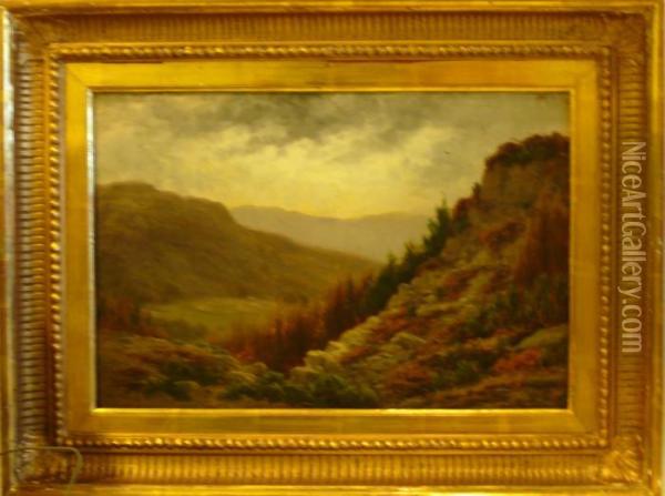 Landskap. Oil Painting - Thomas Spinks