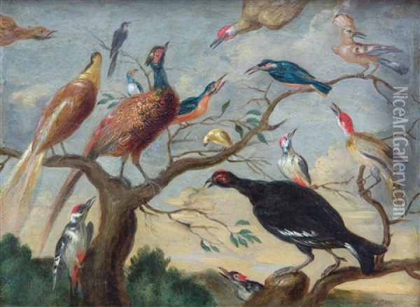 A Concert Of Birds Oil Painting - Jan van Kessel the Elder