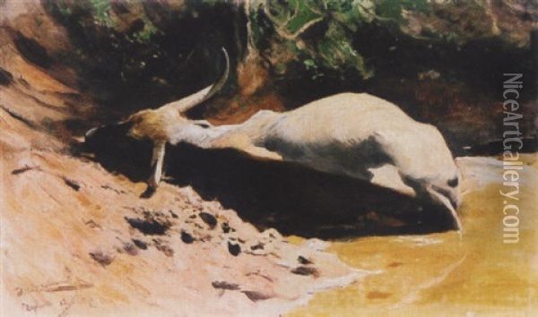 Liegender Wasserbuffel Oil Painting - Wilhelm Friedrich Kuhnert