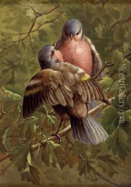 Vogelpaar Oil Painting - Josef Hilbert
