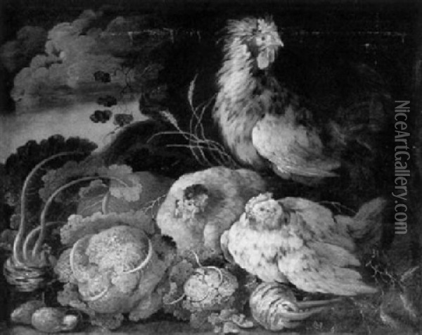 Huhner Mit Gemuse In Einer Landschaft Oil Painting - Johann Melchior Roos