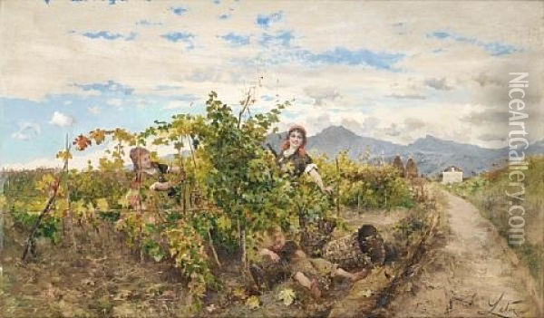 Girls Picking Grapes Oil Painting - Antonino Leto