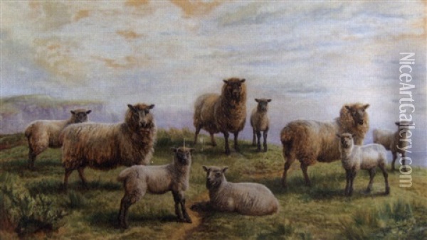 Footstets Approaching, Sheep And Lambs On A Cliff Top And The Sea And Further Cliffs In The Distance Oil Painting - Charles Jones