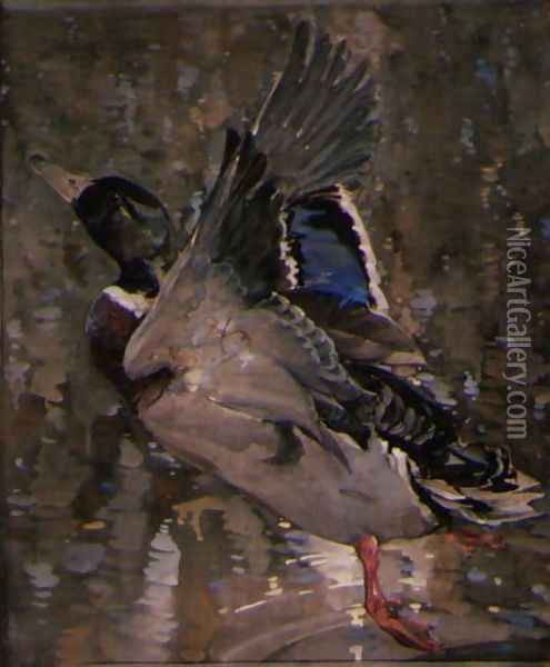 Mallard Rising Oil Painting - Joseph Crawhall