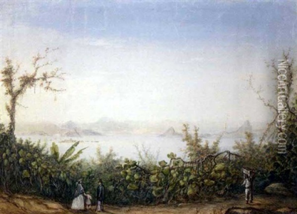 Morro De Ste Theresa (rio De Janeiro) Oil Painting - Friedrich Hagedorn