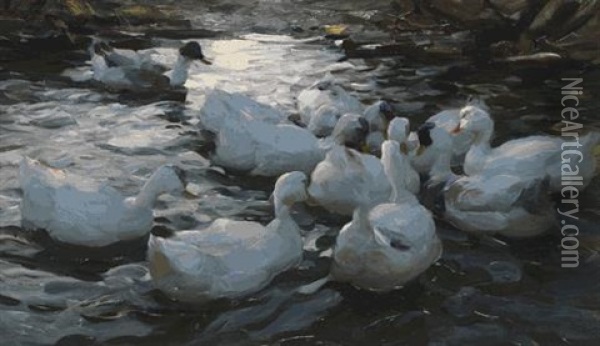 Elf Enten Am Teich Oil Painting - Alexander Max Koester