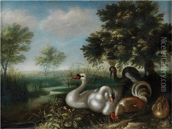 Cygnes, Poule, Canard Et Grue En Bordure De Riviere Oil Painting - Hans Savery the Younger