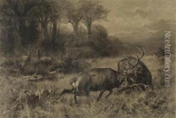 Zwei Kampfende Hirsche In Waldlichtung Oil Painting - Franz Xavier Von Pausinger