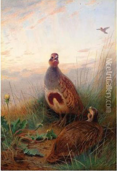 Against The Brightening Dawn Oil Painting - Archibald Thorburn