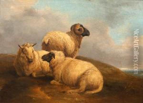 Sheep Before A Landscape Oil Painting - William Watson