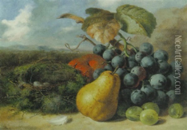Gooseberrys, A Pear, A Peach, Grapes And A Bird's Nest On A Bank Oil Painting - Edward Ladell