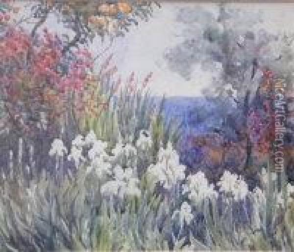 Irises Beneath An Orange Tree Oil Painting - William John Caparne