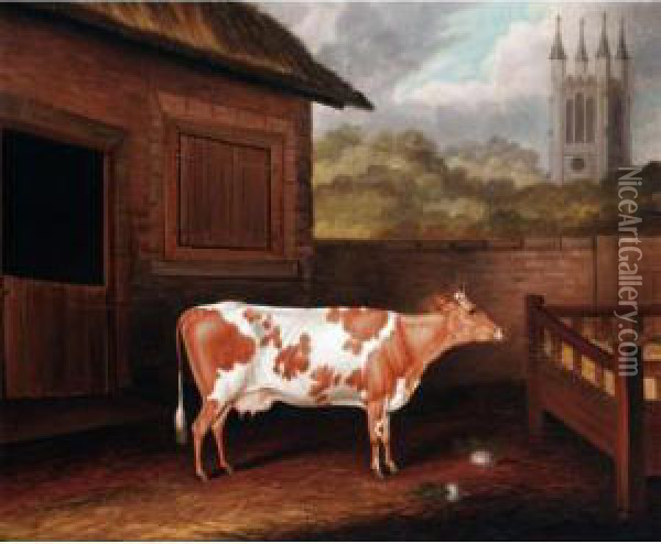 A Prize Ayrshire Cow In A Farmyard Oil Painting - Samuel Spode