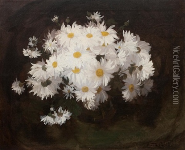 Marguerites Oil Painting - Stuart James Park