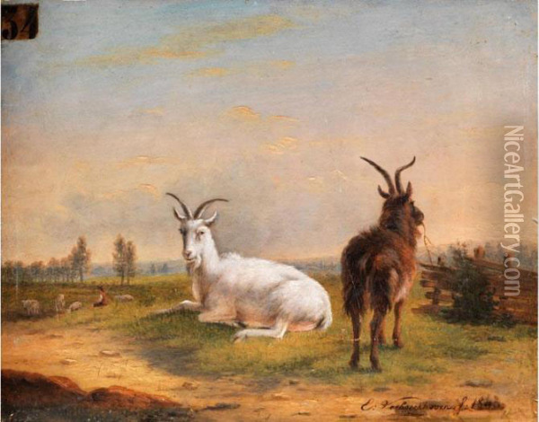 Zwei Ziegen In Wiesenlandschaft Oil Painting - Eugene Joseph Verboeckhoven