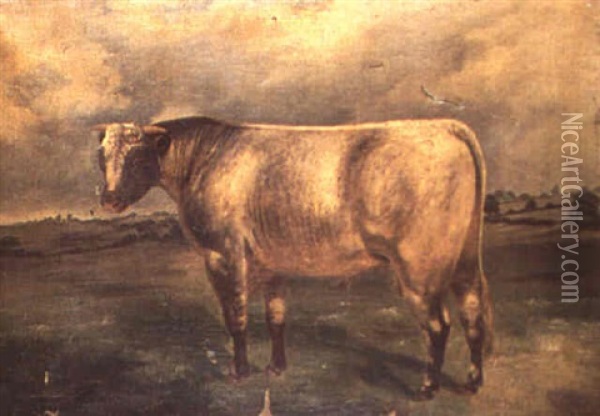 A Shorthorn Bull In A Landscape Oil Painting - William Henry Davis