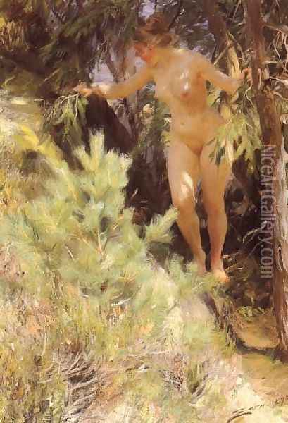 Naken under en gran (Nude under a fir) Oil Painting - Anders Zorn