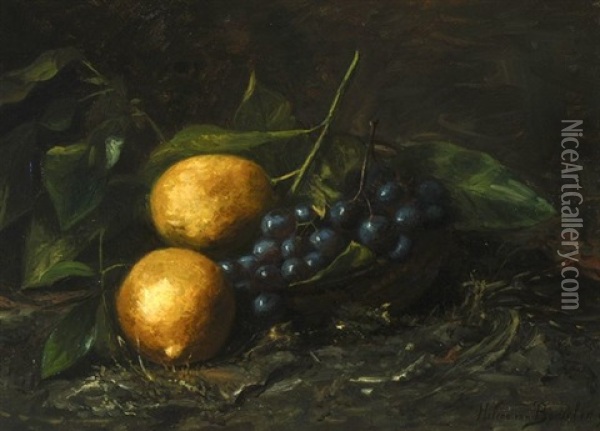 Still Life With Fruits Oil Painting - Helene Maria van Borselen