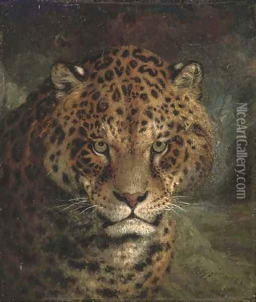 A jaguar Oil Painting - William Huggins