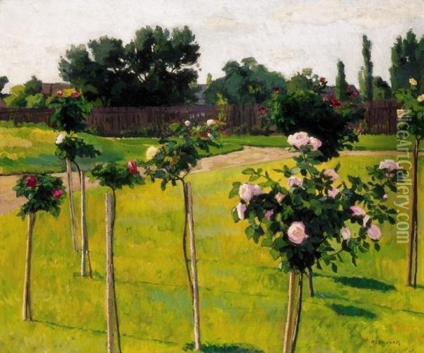 Garden With Roses In Szolnok Oil Painting - Janos Kleh