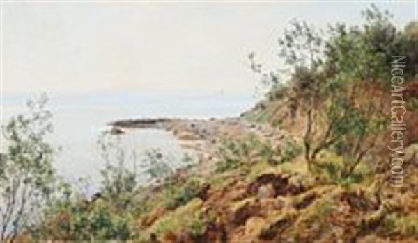 Coastal Scene From Moesgaard Beach Oil Painting - Janus la Cour