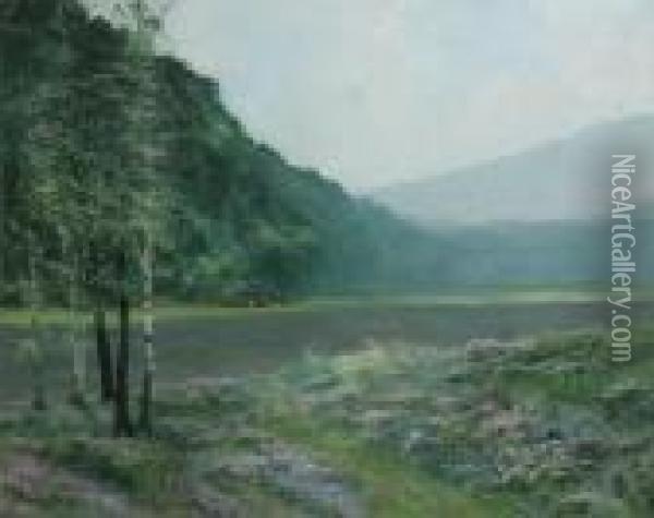 Hilly Landscape Near The Water Oil Painting - Vital Keuller