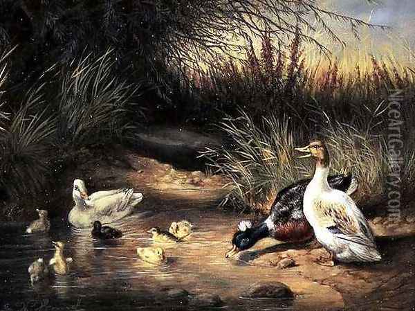 Ducks Drake and Ducklings Oil Painting - Ewald Honnef
