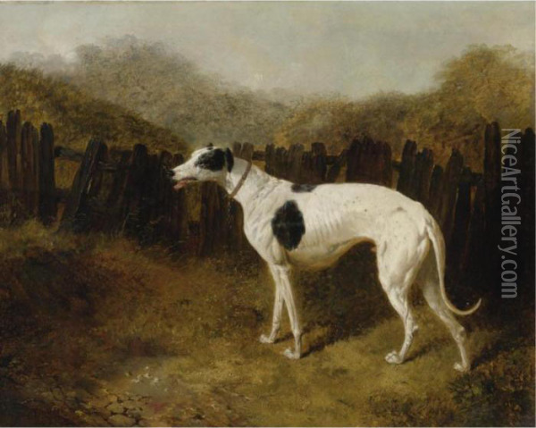 A Greyhound In A Landscape Oil Painting - John Frederick Herring Snr