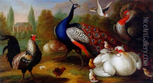 A Peacock, A Turkey, Chickens And Other Birds In A Park




A Peacock, A Turkey, Chickens And Others Birds In A Park Oil Painting - Marmaduke Cradock