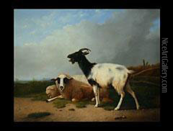 Ziege Und Zwei Schafe In Weiter Landschaft Oil Painting - Eugene Joseph Verboeckhoven