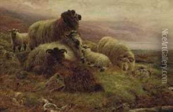 Grazing In The Highlands Oil Painting - Robert Watson